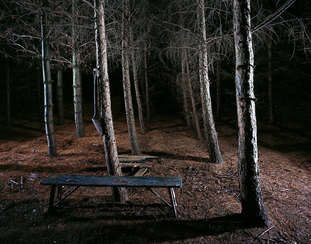 Mark Kasumovic: Ideal Landscape #1 (from the series Ideal Landscapes)